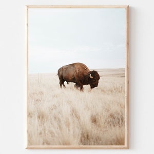 Buffalo Print, Bison Wall Art, Nursery Decor, Bison Print, Farmhouse Wall Art, Neutral Print, American Bison Print, Southwestern Wall Art