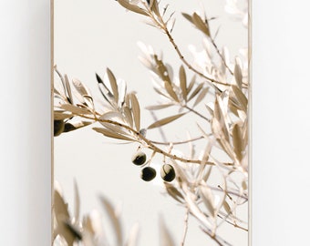 Olive Branch Botanical Art Print, Green Wall Decor (Digital Download)