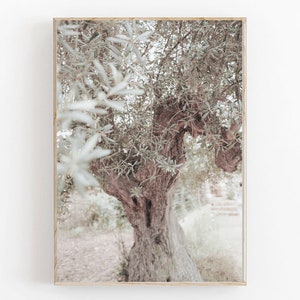 Olive Tree Print, Botanical Print, Mediterranean Olive Tree Print, Olive Poster, Printable Wall Decor, Olive Art, Olive Plant Home Decor