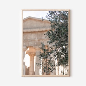 Greece Print, Acropolis Art Print, Parthenon Poster, Olive Branch Print, Athens Print, Athens Wall Art, Athens Travel Poster, Greek Poster
