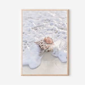 Impresión artística de conchas marinas, impresión de playa, póster de paisaje oceánico, póster de conchas marinas, arte de pared costero, impresión de playa neutra, decoración artística de casa de playa