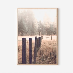 May include: A rustic wooden fence post with barbed wire runs through a field of tall grass. The background is a hazy forest with a soft, warm light.