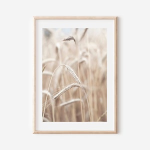 Impression de champ de blé, décoration de ferme, impression d&#39;art beige, ferme imprimable, art de cuisine rustique, art botanique, champ de blé de campagne, impression de plante séchée