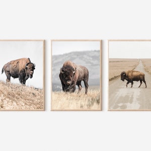 Bison Print Set of 3, Buffalo Print, Bison Print, Bison Wall Art, Western Home Decor, Farmhouse Wall Art, Bison Poster, American Bison Print