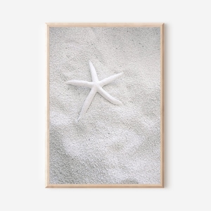 Impresión artística de estrellas de mar, impresión de playa, arte de pared de conchas marinas, póster del océano, arte de pared costero, arte DIGITAL, impresión de playa neutra, decoración artística de casa de playa