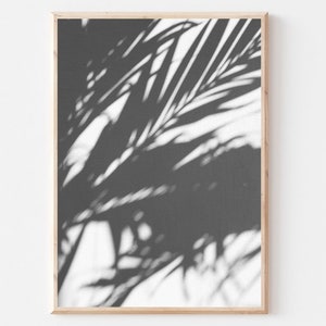 May include: A framed print featuring a grayscale image of palm frond shadows. The shadows create a striking contrast against the white background, with a natural wood frame. The artwork evokes a tropical, minimalist aesthetic.