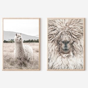 Alpaca print set van 2, alpaca muurkunst, alpaca printbaar, lama print, boerderij kunst print, lama kinderkamer poster, dierlijke muur kunst afdrukbare