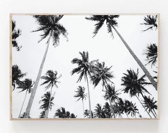 Black and White Palm Tree Print, Coastal Boho Wall Art (Digital Download)