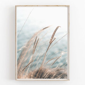 Impressão de praia, arte costeira para impressão, impressão de grama seca, pôster minimalista moderno, decoração boho, decoração de parede para impressão, impressão neutra, grama dos pampas