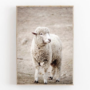 Estampa de ovelha, pôster de ovelha de fazenda, estampa de animal de fazenda, decoração de ovelha, arte de parede de fazenda, arte de ovelha para impressão, estampa de animal, estampa country