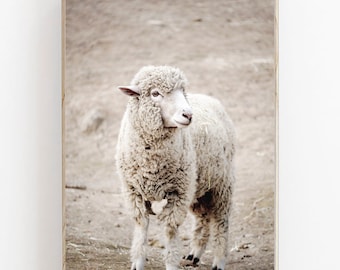 Sheep Print, Farmhouse Sheep Poster, Farm Animal Print, Sheep Decor, Farmhouse Wall Art, Printable Sheep Art, Animal Print, Country Print