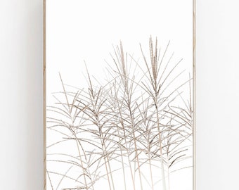 Botanical Art Print, Wild Grass Print, Farmhouse Poster, Rustic Decor, Beige Color Poster, Dried Grass Art, Kitchen Decor, Modern Poster