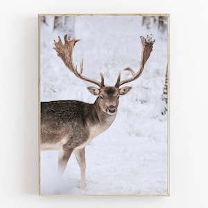 Reindeer Print, Winter Wall Art Print, Scandinavian Art, Snowy Forest Print, Christmas Printable Art, Nordic Art, Forest Printable Wall Art
