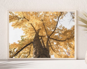Tree Print, Autumn Leaves Print, Yellow Autumn Leaves Art, Nature Forest Wall Art, Fall Wall Art, Fall Printable, Autumn Landscape Print