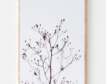 Farmhouse Print, Dried Flowers Print, Large Wall Art, Botanical Print, Beige Kitchen Decor,Rustic Print, Printable Wall Art, Nature Wall Art