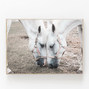 White Horse Wall Print, Icelandic Horse Print, White Horse Print, Modern Farmhouse Decor, Boho Printable, Scandinavian Wall Art,Horse Poster