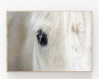 White Horse Print, Icelandic Horse Print, Modern Farmhouse Decor, Boho Printable, Scandinavian Wall Art, Icelandic Horse Close Up, Horse Art
