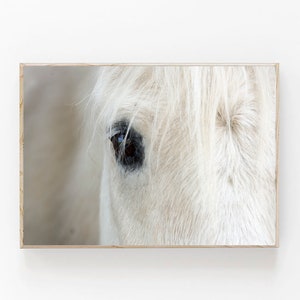 White Horse Print, Icelandic Horse Print, Modern Farmhouse Decor, Boho Printable, Scandinavian Wall Art, Icelandic Horse Close Up, Horse Art image 1