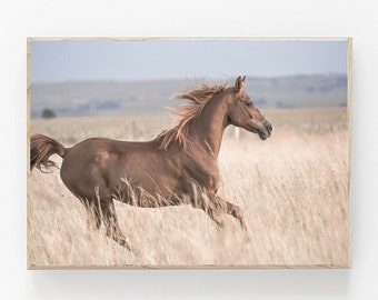 Horses Print, Wild Horse Print, Iceland Horses Wall Art, Modern Minimalist Poster, Southwest Wall Art, Boho Decor, Neutral Rustic Print