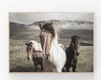 Impresión de caballos de Islandia, decoración nórdica, impresión bohemia, impresión de arte de pared escandinavo, impresión de caballo salvaje, decoración de granja moderna, impresión de caballo