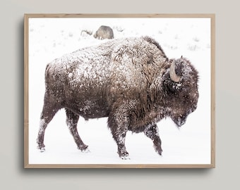 Bison Print, Buffalo Wall Art, Buffalo Print, American Bison Print, Southwestern Wall Art, Farmhouse Print, Wilderness Animal Print