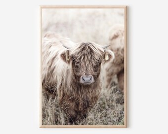 Impresión de vaca de las Tierras Altas, vaca de las Tierras Altas de Escocia, decoración de granja, arte de pared imprimible, foto de toro, arte de pared de vaca digital, impresiones de animales boho