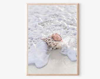Sea Shell Art Print, Beach Print, Ocean Poster Landscape, Seashell Poster, Coastal Wall Art, Neutral Beach Print, Beach House Art Decor