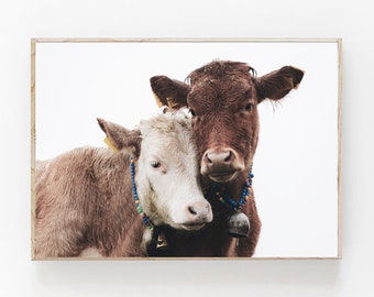 Cow Print, Farmhouse Decor, Modern Minimalist, Nursery Farm Animal Wall Art, Dairy Cow Art Print, Cattle Art, Colour Printable Photo