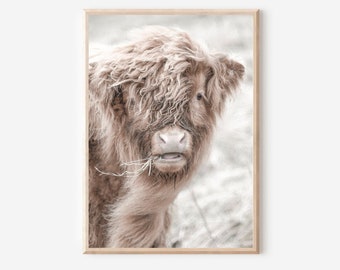 Highland Cow Print, Scottish Highland Cow, Farmhouse Decor, Printable Wall Art, Bull Photo,Digital Cow Wall Art,Nursery Farm Animal Wall Art