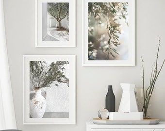 May include: Three framed art prints with botanical themes. One depicts an olive tree, another close-up of olive leaves, and the third a vase with foliage. The prints are in white frames, creating a cohesive aesthetic.