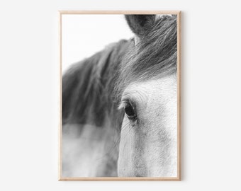 Black and White Horse Portrait Print, Farmhouse Wall Art (Digital Download)