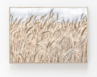 Wheat Field Wall Art, Wheat Field Print, Farmhouse Art, Beige Art Print, Rustic Kitchen Art, Country Wheat Field, Plant Print, Botanical Art