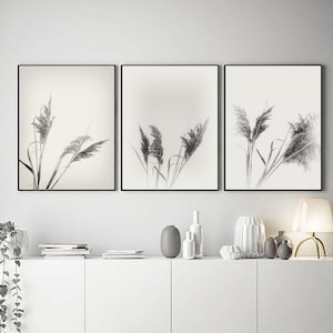 Conjunto de 3 estampas botânicas, pôster minimalista moderno, arte de fazenda, estampa de capim seco, conjunto de 3 estampas neutras, estampa de capim-dos-pampas, estampa sépia