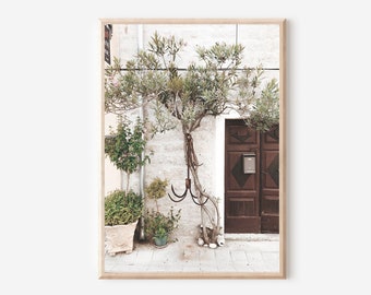 May include: A white building with a brown wooden door and a green tree growing in front of it. The tree is growing up the side of the building and has a metal hook attached to it. There are potted plants in front of the building.