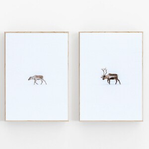 Nature Print Set of 2, Scandinavian Nature Print, Winter Print Set Of 2, Reindeer Wall Art, Christmas Art Decor, Reindeer Print Set of 2