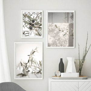 Olive Tree Art Print Olive Branch Print Set of 3 Olive Tree Wall Art Botanical Print Olive Poster Modern Minimalist Poster Olive Art Decor