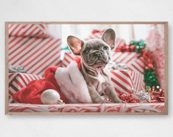 Samsung Frame TV Art, Funny Christmas TV Frame, French Bulldog Christmas Art Frame,Samsung Art TV, Christmas Puppy Sign,Frenchie Bulldog Art