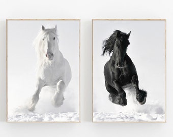 Horse Print, Wild Horse Photo,Wilderness Print, Black and White Horse Print,Set of 2 Prints, Running Horses Set, Horse Wall Print, Horse Art