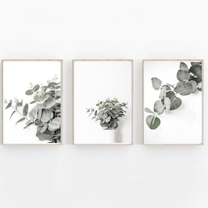 Eucalyptus Print Set of 3, Modern Minimalist Poster Set, Eucalyptus Plant, Botanical Print, Eucalyptus Wall Art Set of 3, Eucalyptus Leaf