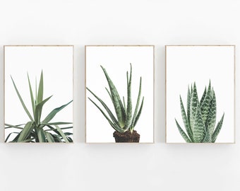 Botanical Print Set of 3, Tropical Prints, Palm Print Set of 3, Botanical Art, Modern Minimalist Poster, Leaves Print Set, Succulent Print