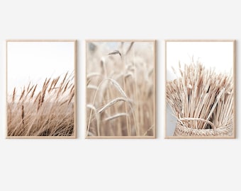 Neutral Print Set of 3, Farmhouse Print Set, Rustic Print, Set of 3 Prints, Wheat Field Print, Beige Print, Botanical Art, Dried Plant Print