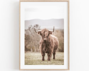 Highland Kuh Druck, Scottish Highland Kuh, Bauernhausdekor, druckbare Wandkunst, Stier Foto, Digitale Kuh Wandkunst, Highland Kuh Wandkunst