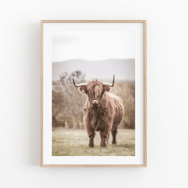 Impression vache Highland, vache Highland écossaise, décoration de ferme, art mural imprimable, photo de taureau, art mural vache Highland, art mural vache Highland