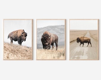Bison Print Set of 3, Buffalo Print, Bison Print, Bison Wall Art, Western Home Decor, Farmhouse Wall Art, Bison Poster, American Bison Print