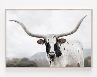 May include: A black and white spotted longhorn cow with large horns stands in a field. The cow is looking directly at the camera. The background is a blurry landscape of hills and trees.
