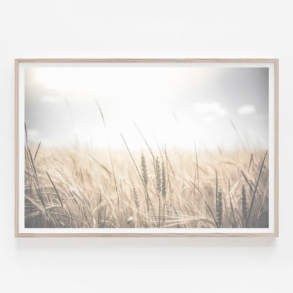 Wheat Field Print, Farmhouse Decor, Beige Art Print, Rustic Kitchen Art, Botanical Art, Dried Plant Print, Wall Art Print, Modern Art Poster