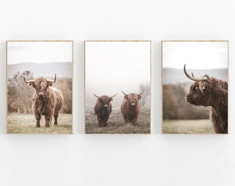 Highland Cow Photo Print Set, Neutral Farmhouse Wall Art (Digital Download)