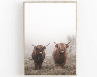Highland Cow Print, Scottish Highland Cow, Farmhouse Decor, Printable Wall Art, Bull Photo, Digital Cow Wall Art, Boho Animal Prints