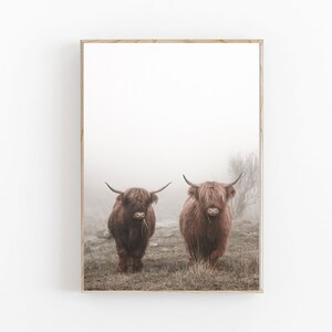 Highland Cow Print, Scottish Highland Cow, Farmhouse Decor, Printable Wall Art, Bull Photo, Digital Cow Wall Art, Boho Animal Prints
