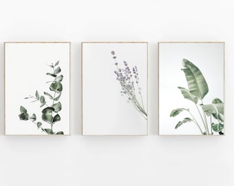 Botanical Print Set of 3, Eucalyptus Print, Lavender Print, Printable Art, Set of 3 Prints, Farmhouse Decor, Green Botanical Art Print Set